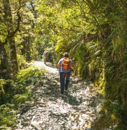 2.5 Guest walking Milford Track