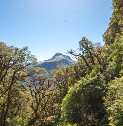 2.5 Mountain views Milford Track