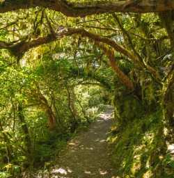 2.5 Routeburn Track