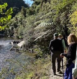 Exploring Paporoa National Park 