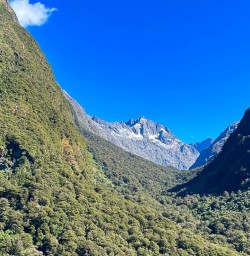 Fiordland National Park hiking and walking tours