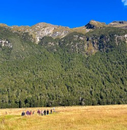 Fiordland National Park hiking tours 