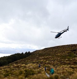 Fiordland National Park2