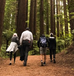3 Guests explore the giant Redwood forest