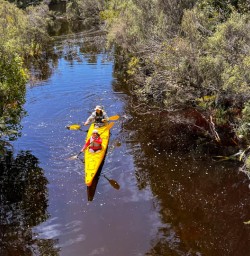3 Guests explore west coast by kayak