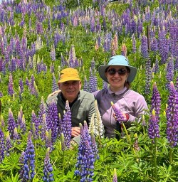 Hike Mount John and explore Mackenzie Country 18 November 2024 3
