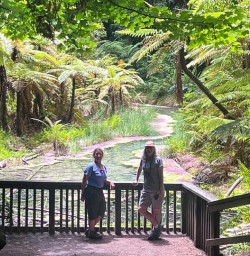 Hike the Redwoods Whakarewarewa 3rd December 2024 1