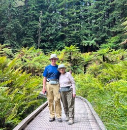 Hike the Redwoods Whakarewarewa 3rd December 2024 3