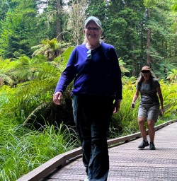 Hike the Redwoods Whakarewarewa 3rd December 2024 6