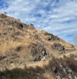 Hiking tours to Mackenzie Country