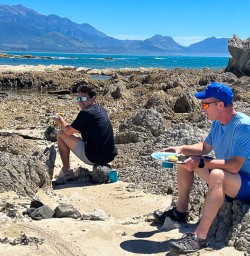 Kaikoura walking tours 