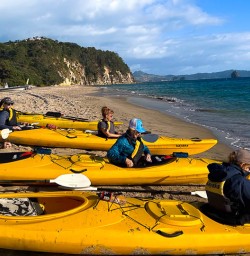 Kayaking tours on the Coromandel coastline