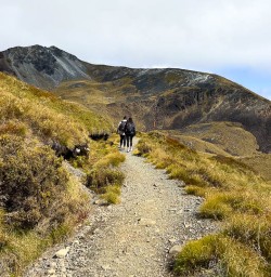 Kepler Track hiking and adventure tours 2