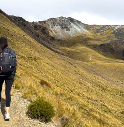 Kepler Track hiking and adventure tours2
