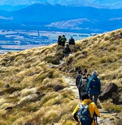 Kepler Track hiking and walking tours