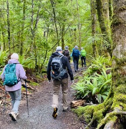 Kepler Track walking tours 2