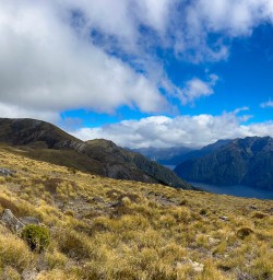 Kepler Track walking tours