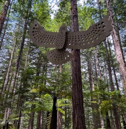 Maori Culture Geothermal Wonderland and Redwoods Hike 21 11 24 9