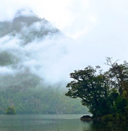 Milford Sound 