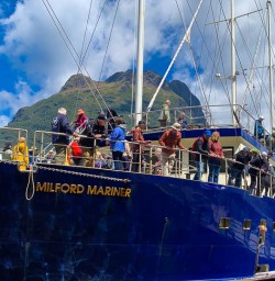Milford Sound cruise adventures 