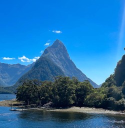 Milford Sound cruise