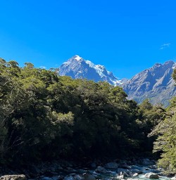 Milford Sound walking tours 