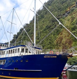 Milford sound cruise 