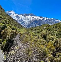 Mount Cook National Park hiking tours 