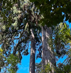 Paporoa National Park hiking and adventure tours 