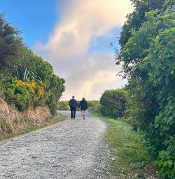 Paparoa National Park small group tours 