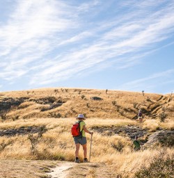 Rocky Mountain Track walking and hiking tours