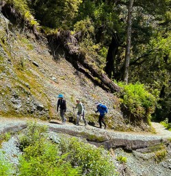 Routeburn track walking tour 