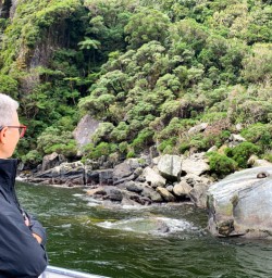 3 Seals on Milford Sound cruise2