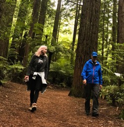 3 Stroll through the Redwood forest