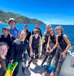 Swimming with dolphins Kaikoura