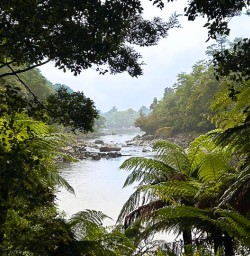 The Milford Track 