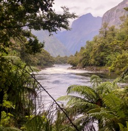 Arthur river, Fiordland New Zealand