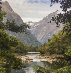 Arthur river, Fiordland New Zealand