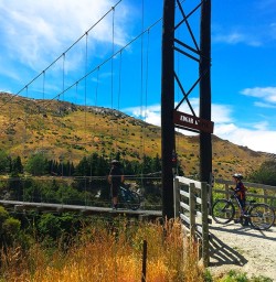 Biking the Queenstown Trail near Arrowtown