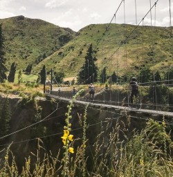 Biking the Queenstown trail, Otago New Zealand