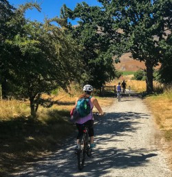 Biking the Queenstown Trail, Otago New Zealand