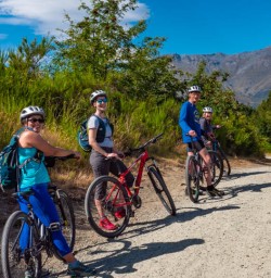 Biking to Gibbston Valley