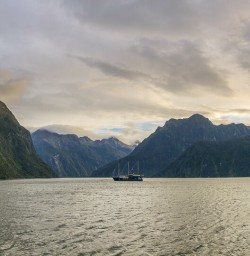 Boat tour at Milford Sound, Fiordland New Zealand