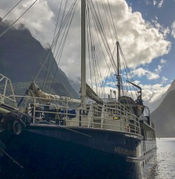 Boat Tour at Milford Sound, Fiordland National Park Southland New Zealand