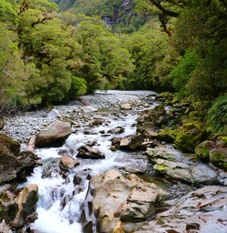 3 cleddau river fiordland southland nz