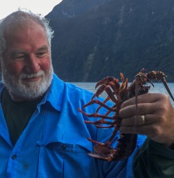 Crayfish on the boat at Milford Sound, Fiordland National Park New Zealand