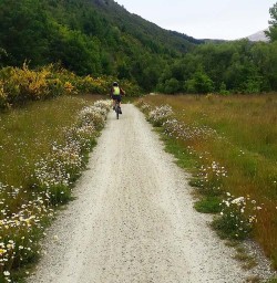 Cycling Tour in Queenstown