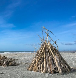 Driftwood on West Coast beach