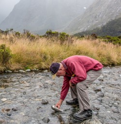 Drinking water at Fiordland, New Zealand