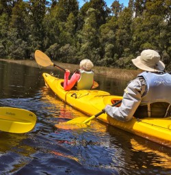 3 exploring from a different perspective kayak tour world heritage